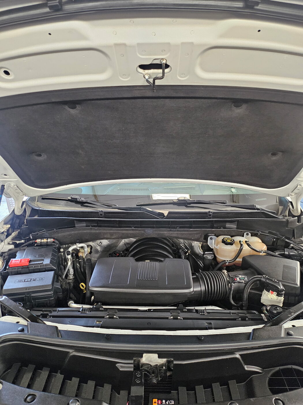 Engine bay after — degreased and dressed